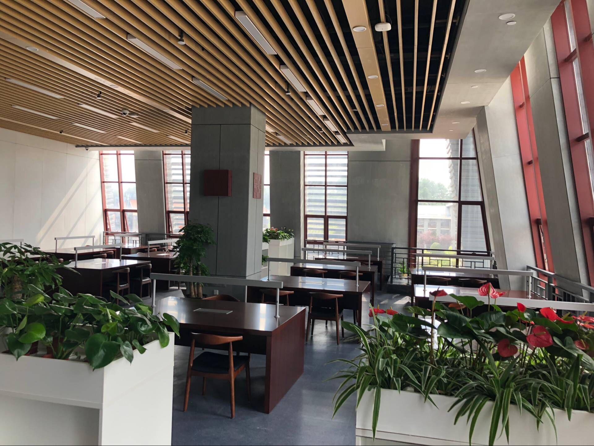 1538484022790795.jpg 1538484022790795.jpg