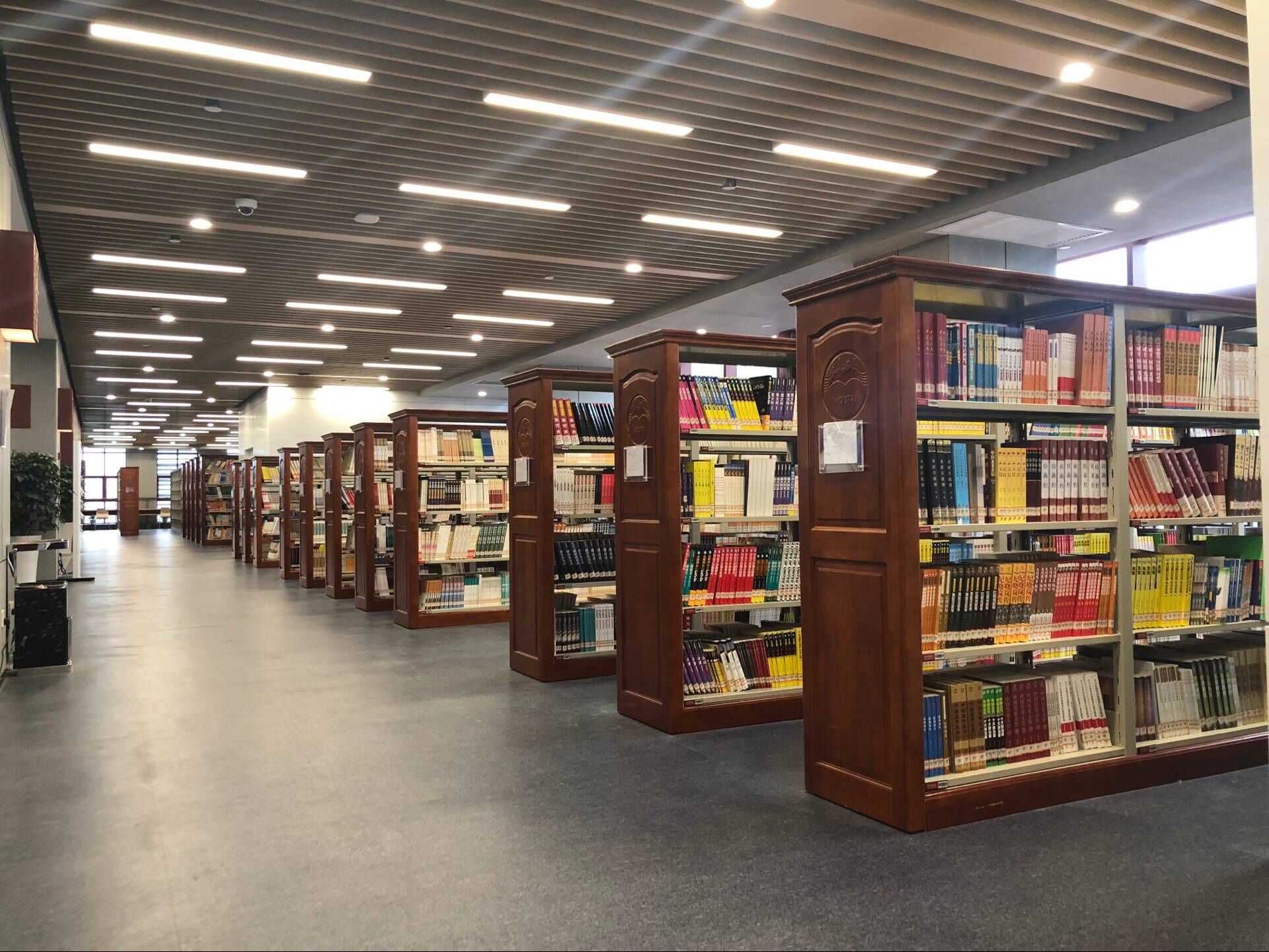 1538484072752066.jpg 1538484072752066.jpg