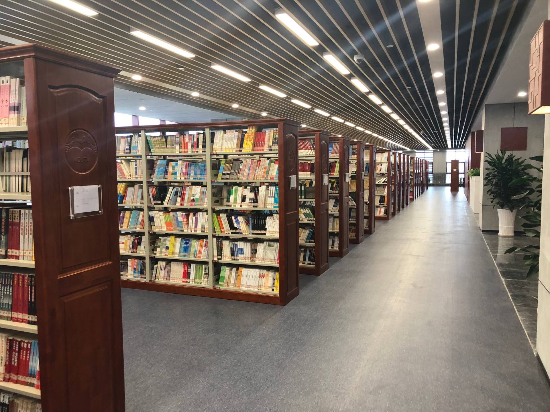 1538484073390556.jpg 1538484073390556.jpg