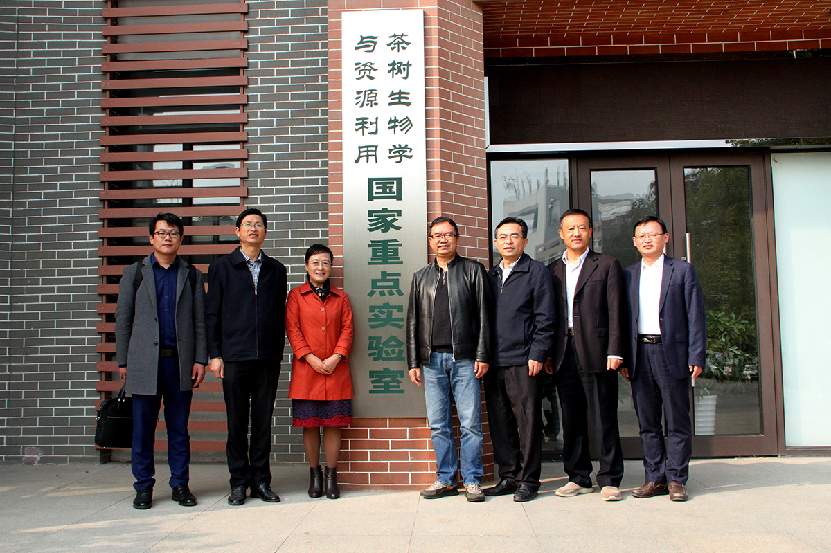 1573551574643755.jpg 4、.jpg